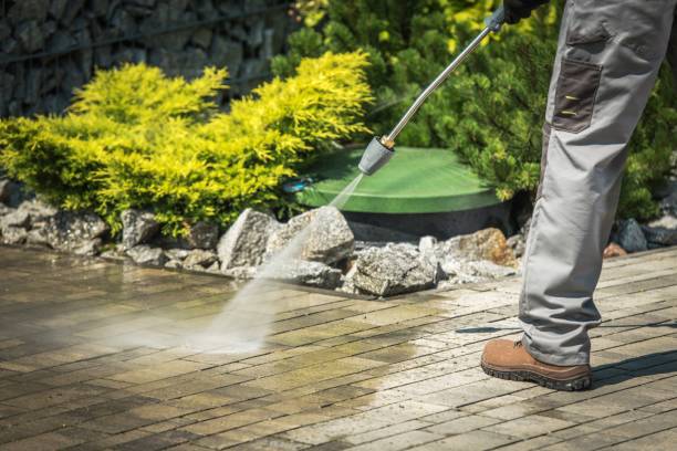 Best Driveway Pressure Washing  in Chatmoss, VA