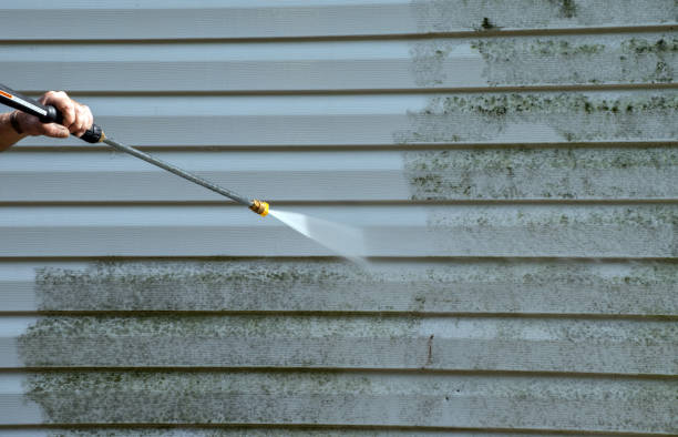 Best Roof Washing  in Chatmoss, VA